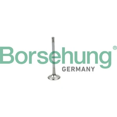 Bilde av Borsehung B19025 Innløpsventil AUDI: A6 C6 Avant, A4 B7 C4 SKODA: Octavia 1 Combi