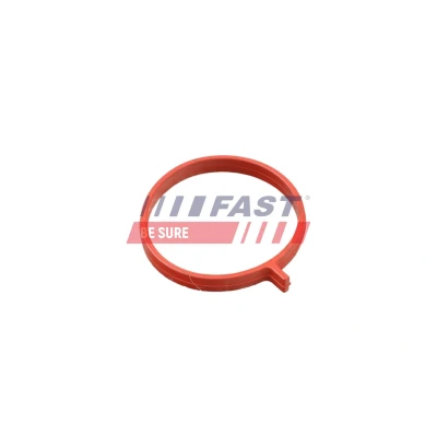 Bilde av FAST FT48962 Tetningsring, laseluftslange