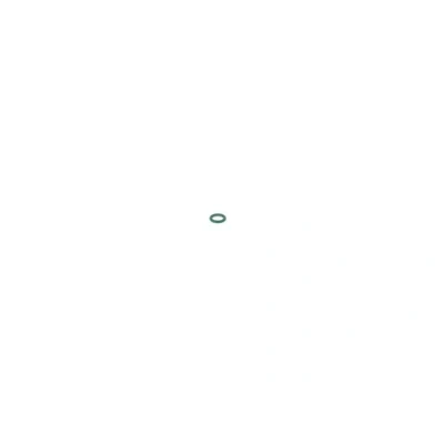 Bilde av BOSCH 2 440 210 002 Tetningsring