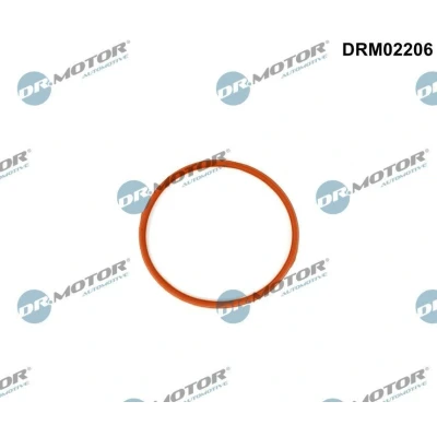 Bilde av DR.MOTOR AUTOMOTIVE DRM02206 Innsugspakning inngang VOLVO: V70 3, XC60 I, XC90 II