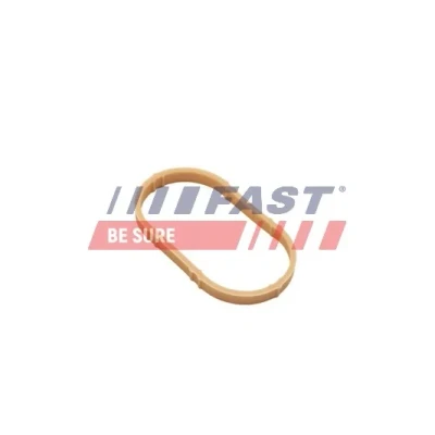Bilde av FAST FT49461 Innsugspakning inngang FPM (fluor kautsjuk) RENAULT: Scénic 1, LAGUNA 2 Grandtour