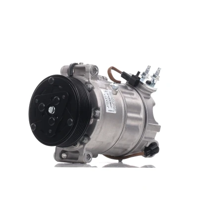 Bilde av DELPHI CS20552 Kompressor PXC16 PAG 46