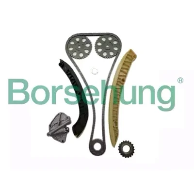 Bilde av Borsehung B16295 Registerkjedesett for kamaksel simplex, kjede lukket SKODA: Fabia 2, Roomster, VOLKSWAGEN: Polo IV Hatchback