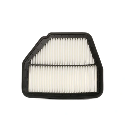 Bilde av Luftfilter, chevrolet captiva, captiva van, opel antara a, vauxhall 04802875, 04802876, 04807917, 22745823, 22745824, 4802875,