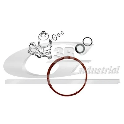 Bilde av 3RG 86279 Tetningssett, innsugningsmanifold CITROËN: Berlingo II Van