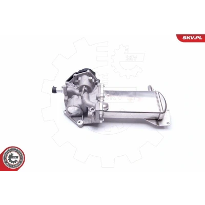 Bilde av ESEN SKV 14SKV151 EGR Ventil VOLKSWAGEN: Golf 6, Amarok Pick up