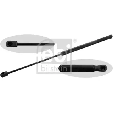 Bilde av FEBI BILSTEIN 48695 Gassfjær 800 300 på begge sider, bak