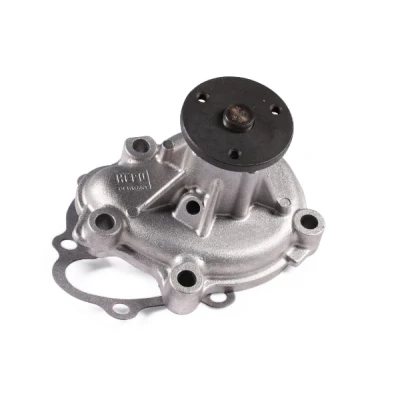 Bilde av HEPU P326 Vannpumpe med tetning mekanisk OPEL: Corsa D Hatchback, Meriva B, Astra H Caravan, CHEVROLET: Trax
