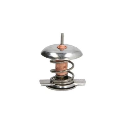 Bilde av THERMOTEC D2Y002TT Termostat 87 med tetning kapsling MERCEDES BENZ: Sprinter 4 T Van, E Klasse Sedan, modell