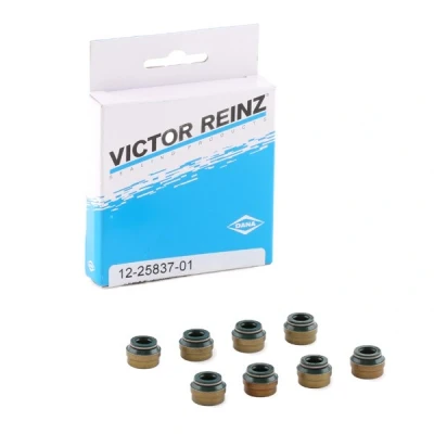 Bilde av REINZ 12 25837 01 Tetningssett, ventilstamme VOLKSWAGEN: Golf 3, 4, Passat B1 Stasjonsvogn, AUDI: A4 B5 Avant, A6 C4 Sedan