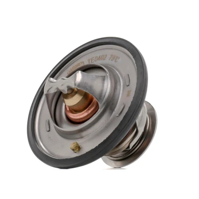 Bilde av MAGNETI MARELLI 352317004020 Termostat 79 29 med tetning