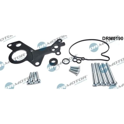 Bilde av DR.MOTOR AUTOMOTIVE DRM0190 Vakuumpumpe reparasjonssett VOLKSWAGEN: Transporter 5, Passat B6 Variant, Multivan 5 (7HM, AUDI: A4 B7 Avant, A3 Sportback