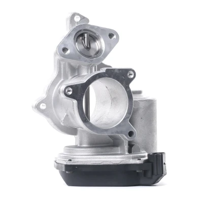 Bilde av DELPHI EG10404 12B1 EGR Ventil med tetning AUDI: A6 C6 Avant, Sedan, A4 B7 Avant