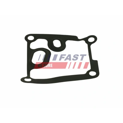 Bilde av FAST FT39313 Drivstoffilter Filterinnsats med tetning RENAULT: Kangoo II Express, / Grand Kangoo, Duster, DACIA: Duster SUV