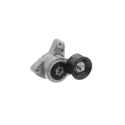 Bilde av SKF VKM 63004 Strammerull HONDA: CR V 3, 2, Accord 7 Limousine