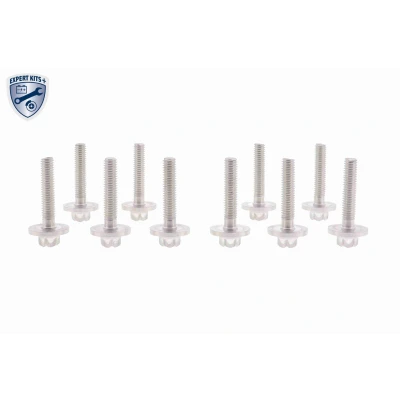 Bilde av VAICO V30 2321 Assortiment, skruer