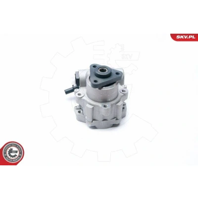 Bilde av ESEN SKV 10SKV221 Hydraulikkpumpe PEUGEOT: 406 Sedan