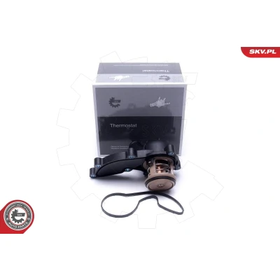 Bilde av Termostat, kjølemiddel, audi a4 b7, b7 avant, cabriolet, a6 allroad c6, c6 a8 d3, 06E 121 111 D, G
