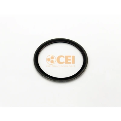 Bilde av Simmering, differensial C.E.I. 269.364