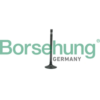 Bilde av Borsehung B19006 Eksosventil SKODA: Octavia 3 Schrägheck, VOLKSWAGEN: Polo V Hatchback