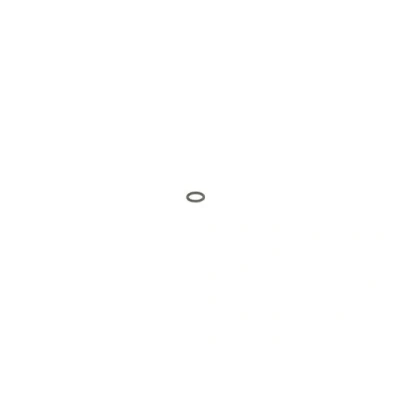 Bilde av BOSCH 2 440 210 010 Tetningsring