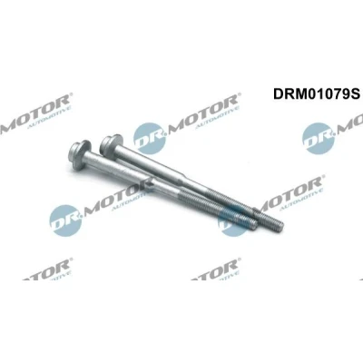 Bilde av DR.MOTOR AUTOMOTIVE DRM01079S skrue, innsprøytningsdyseholder AUDI: A4 B8 Avant, A5 Sportback, A6 C7 Sedan, VOLKSWAGEN: Tiguan I, Passat Variant