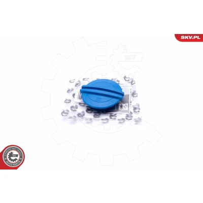 Bilde av Skrulokk, kjølevæsketank, audi,porsche,seat,skoda,vw, 3B0 121 321, 958 106 447 00