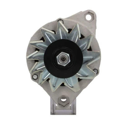 Bilde av BV PSH 505.014.055.050 Dynamo 12V 55A