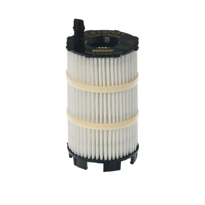 Bilde av HENGST FILTER E813H01 D188 Oljefilter Filterinnsats AUDI: A6 C6 Avant, A4 B8 B7 VOLKSWAGEN: Touareg I, II