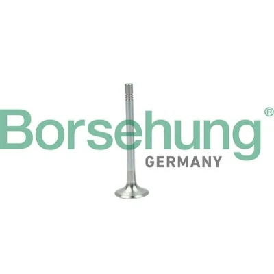 Bilde av Borsehung B19004 Eksosventil VOLKSWAGEN: Multivan 5 (7HM, Caddy 3, GOLF 6, AUDI: Q5, A4 B8 Avant, A3 Sportback, SKODA: Octavia 3 Schrägheck