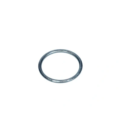 Bilde av MAXGEAR 70 0528 Tetningsring, gassrør 54mm HONDA: CIVIC 8 Hatchback