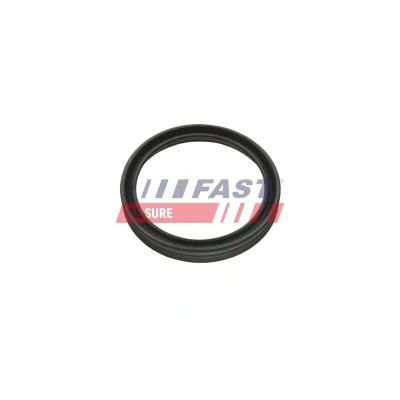 Bilde av FAST FT48956 Tetningsring, laseluftslange