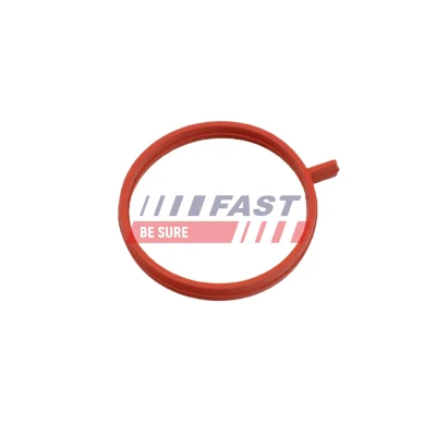 Bilde av FAST FT48963 Tetningsring, laseluftslange