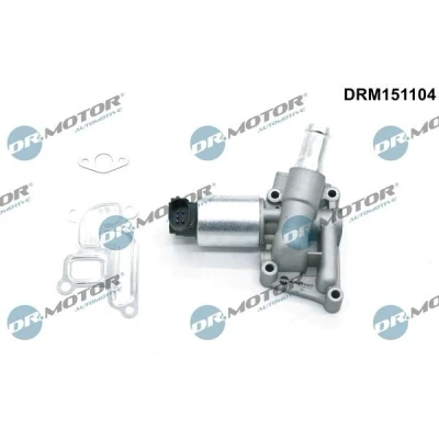 Bilde av DR.MOTOR AUTOMOTIVE DRM151104 EGR Ventil elektrisk med tetning OPEL: Astra G CC, Agila A, H Hatchback