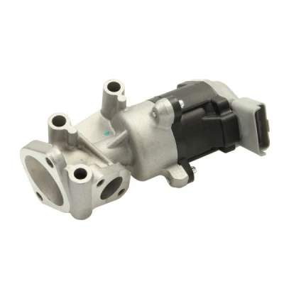 Bilde av ENGITECH ENT500060 EGR Ventil LAND ROVER: Discovery 3, Range Rover Sport, CITROËN: C6 Sedan, C5 III Stasjonsvogn