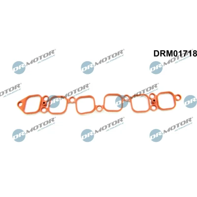 Bilde av DR.MOTOR AUTOMOTIVE DRM01718 Innsugspakning VOLKSWAGEN: Transporter 5 Bus, Multivan (7HM, Golf 5, PORSCHE: Cayenne, AUDI: A3 Sportback, TT Coupé