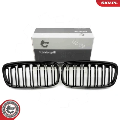 Bilde av ESEN SKV 66SKV040 Radiatorgitter glanset, svart BMW: 2 Active Tourer