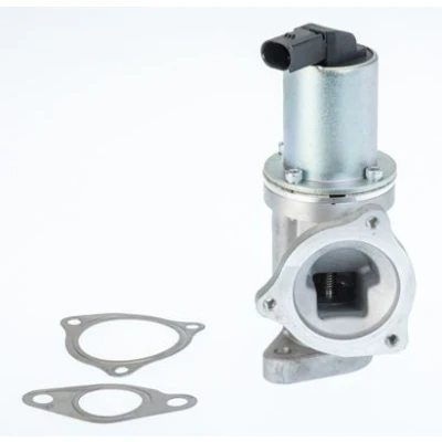 Bilde av WAHLER 711031D/1 EGR Ventil elektrisk med tetning HYUNDAI: SANTA FE 2, Tucson, Grandeur, KIA: Sportage II, cee‘d I Stasjonsvogn, Hatchback