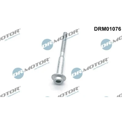 Bilde av DR.MOTOR AUTOMOTIVE DRM01076 skrue, innsprøytningsdyseholder VOLKSWAGEN: Multivan 5 (7HM, Caddy 3, Transporter 5, SKODA: Octavia 2 Combi