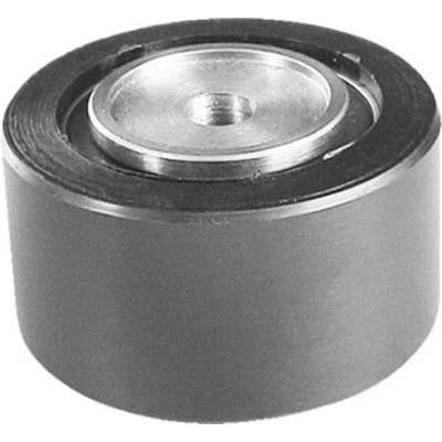 Bilde av MAGNETI MARELLI 331316170140 Styrerulle kilerem