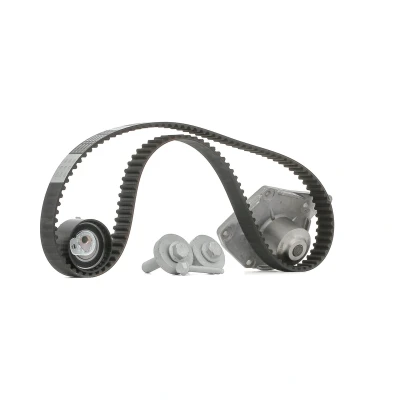 Bilde av BOSCH 1 987 946 982 Vannpumpe + Registerreimsett 123 RENAULT: Kangoo I, GRAND SCENIC 3, II Express, NISSAN: Kubistar Van