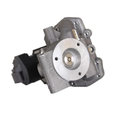 Bilde av WAHLER 710965D/1 EGR Ventil elektrisk med tetning NISSAN: Juke, Qashqai / Qashqai+2 I, CITROËN: C6 Sedan