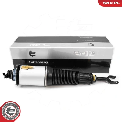 Bilde av Luftfjærbein, Framaksel, Høyre, audi a8 d3, 4E0616040AF, 4E0616040AH, 4E0616040AM, 4E0616040R, 4E0616040T, 4E061604AB