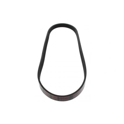 Bilde av MAPCO 250880 Kileribberem 880 5 OPEL: Zafira B, Vectra C Caravan, A, TOYOTA: Corolla VIII Liftback, Compact, VII Compact