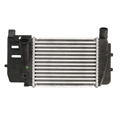 Bilde av Intercooler THERMOTEC DA2008TT