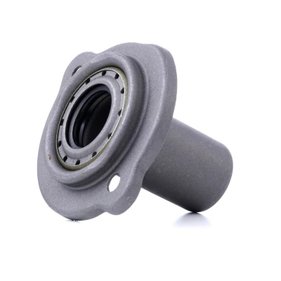 Bilde av Føringshylse, clutch, alfa romeo,citroën,fiat,lancia,peugeot, 40004820, 46411140, 60806095, 60811608