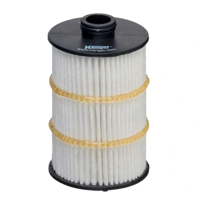 Bilde av HENGST FILTER E861H D413 Oljefilter Filterinnsats AUDI: A6 C7 Avant, Sedan, A7 Sportback, BENTLEY: Continental GTC