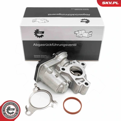 Bilde av Egr ventil, dacia,fiat,mercedes benz,nissan,renault, 14710 00Q1J, 147100361R, 6081401500, A6081401500