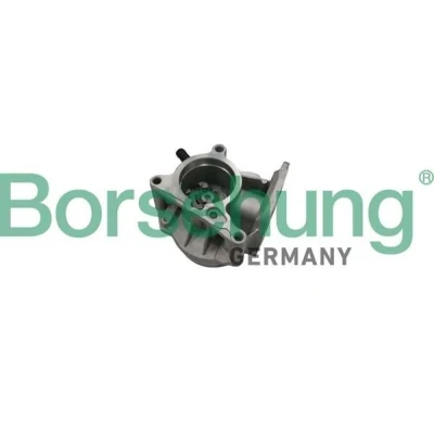 Bilde av Borsehung B18666 Vakuumpumpe VOLKSWAGEN: Golf 5, Passat B6 Variant, AUDI: A3 Sportback, SKODA: Octavia II Hatchback