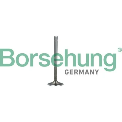 Bilde av Borsehung B19010 Eksosventil AUDI: A4 B7 Avant, A6 C6 Sedan, SKODA: Octavia 1 Combi